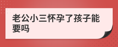 老公小三懷孕了孩子能要嗎