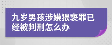 九歲男孩涉嫌猥褻罪已經(jīng)被判刑怎么辦