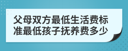 父母雙方最低生活費(fèi)標(biāo)準(zhǔn)最低孩子撫養(yǎng)費(fèi)多少