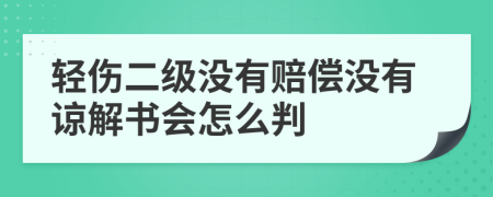 輕傷二級沒有賠償沒有諒解書會怎么判