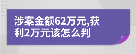 涉案金額62萬元,獲利2萬元該怎么判