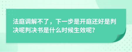 法庭調(diào)解不了，下一步是開庭還好是判決呢判決書是什么時(shí)候生效呢？