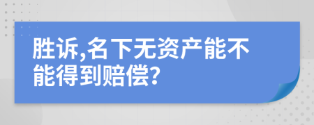 勝訴,名下無資產(chǎn)能不能得到賠償？