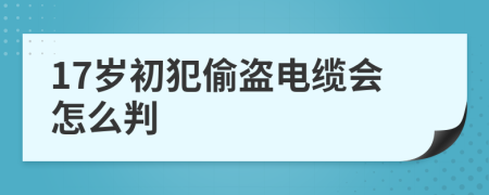 17歲初犯偷盜電纜會怎么判