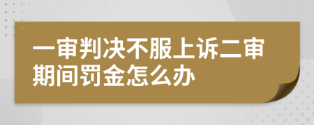 一審判決不服上訴二審期間罰金怎么辦
