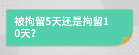 被拘留5天還是拘留10天？