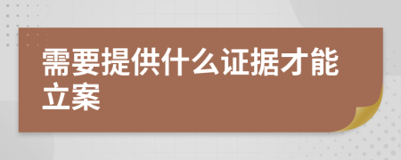 需要提供什么證據才能立案