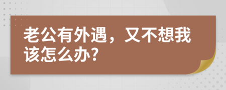 老公有外遇，又不想我該怎么辦?
