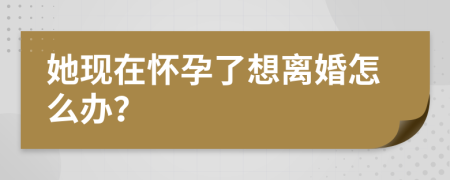 她現(xiàn)在懷孕了想離婚怎么辦?