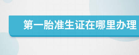 第一胎準(zhǔn)生證在哪里辦理