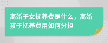 離婚子女撫養(yǎng)費(fèi)是什么，離婚孩子撫養(yǎng)費(fèi)用如何分擔(dān)