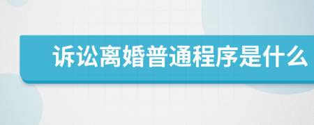 訴訟離婚普通程序是什么