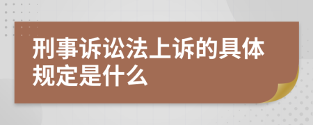 刑事訴訟法上訴的具體規(guī)定是什么
