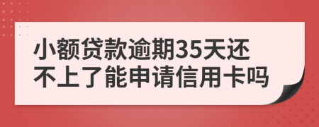 小額貸款逾期35天還不上了能申請(qǐng)信用卡嗎