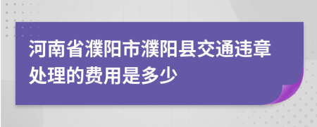 河南省濮陽市濮陽縣交通違章處理的費用是多少