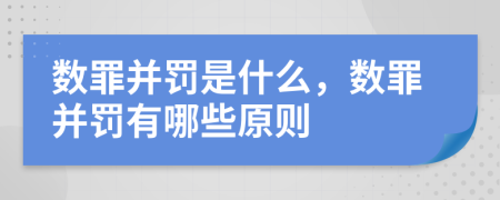數(shù)罪并罰是什么，數(shù)罪并罰有哪些原則