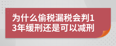 為什么偷稅漏稅會(huì)判13年緩刑還是可以減刑