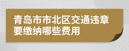 青島市市北區(qū)交通違章要繳納哪些費(fèi)用