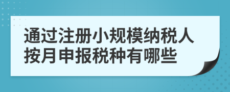 通過注冊小規(guī)模納稅人按月申報(bào)稅種有哪些