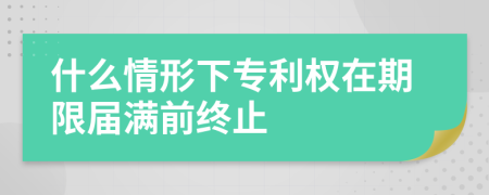 什么情形下專利權(quán)在期限屆滿前終止