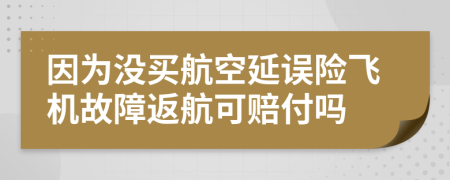 因為沒買航空延誤險飛機故障返航可賠付嗎