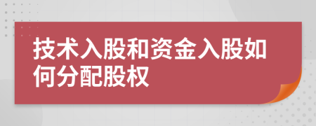 技術(shù)入股和資金入股如何分配股權(quán)