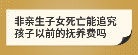 非親生子女死亡能追究孩子以前的撫養(yǎng)費(fèi)嗎