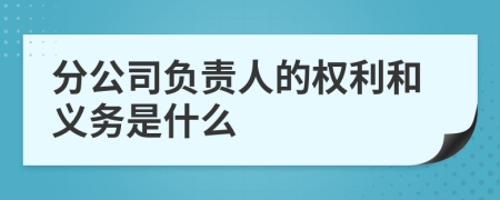 分公司負(fù)責(zé)人的權(quán)利和義務(wù)是什么