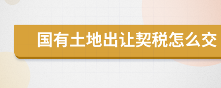 國有土地出讓契稅怎么交