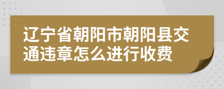 遼寧省朝陽(yáng)市朝陽(yáng)縣交通違章怎么進(jìn)行收費(fèi)