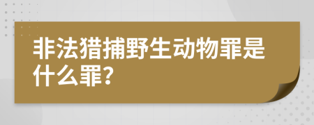 非法獵捕野生動物罪是什么罪？