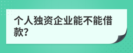 個(gè)人獨(dú)資企業(yè)能不能借款？