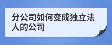 分公司如何變成獨(dú)立法人的公司