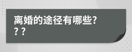離婚的途徑有哪些? ? ?