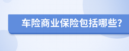 車險(xiǎn)商業(yè)保險(xiǎn)包括哪些？