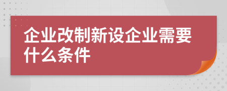 企業(yè)改制新設(shè)企業(yè)需要什么條件