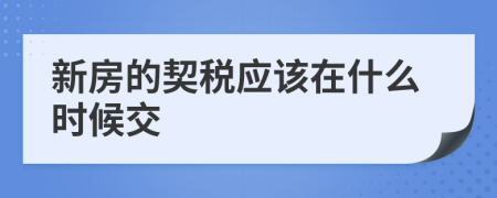 新房的契稅應該在什么時候交