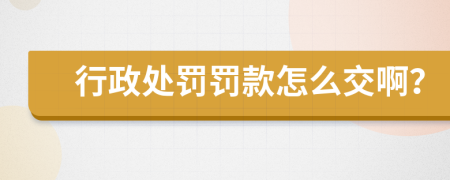 行政處罰罰款怎么交??？