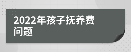 2022年孩子撫養(yǎng)費問題