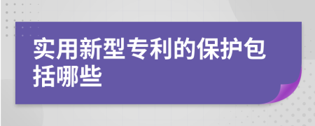 實用新型專利的保護(hù)包括哪些