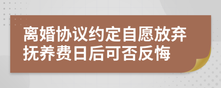 離婚協(xié)議約定自愿放棄撫養(yǎng)費(fèi)日后可否反悔
