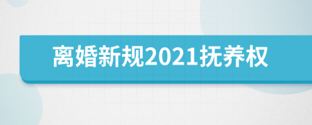 離婚新規(guī)2021撫養(yǎng)權(quán)