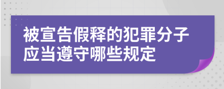 被宣告假釋的犯罪分子應當遵守哪些規(guī)定