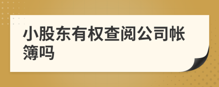 小股東有權查閱公司帳簿嗎