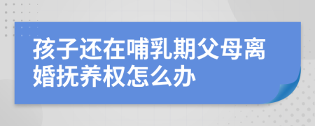 孩子還在哺乳期父母離婚撫養(yǎng)權(quán)怎么辦