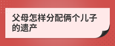父母怎樣分配倆個兒子的遺產