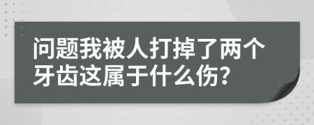 問題我被人打掉了兩個牙齒這屬于什么傷？