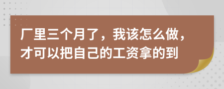 廠里三個月了，我該怎么做，才可以把自己的工資拿的到