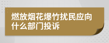 燃放煙花爆竹擾民應(yīng)向什么部門投訴