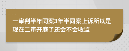 一審判半年同案3年半同案上訴所以是現(xiàn)在二審開庭了還會不會收監(jiān)